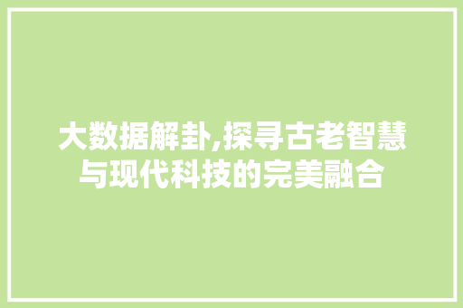 大数据解卦,探寻古老智慧与现代科技的完美融合