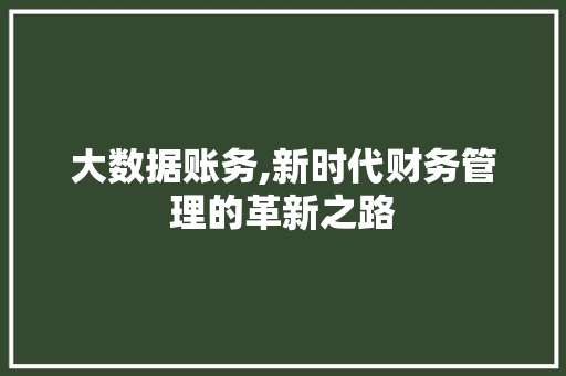 大数据账务,新时代财务管理的革新之路 GoogleSEO