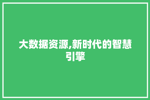 大数据资源,新时代的智慧引擎