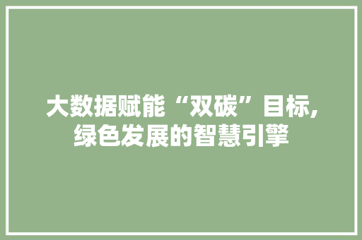 大数据赋能“双碳”目标,绿色发展的智慧引擎