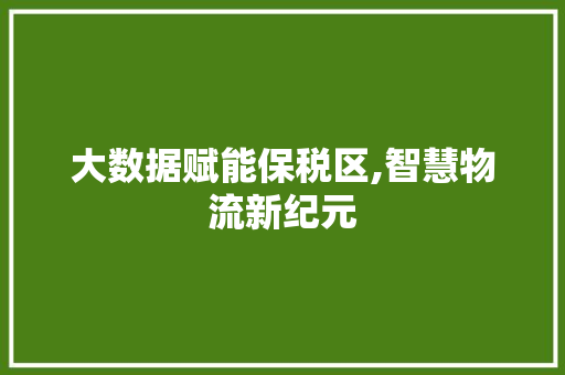 大数据赋能保税区,智慧物流新纪元 必应SEO