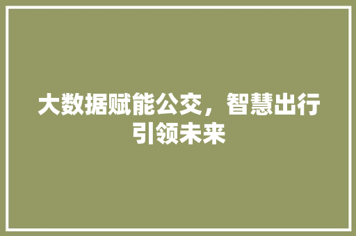大数据赋能公交，智慧出行引领未来 必应SEO