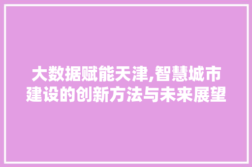 大数据赋能天津,智慧城市建设的创新方法与未来展望 必应SEO