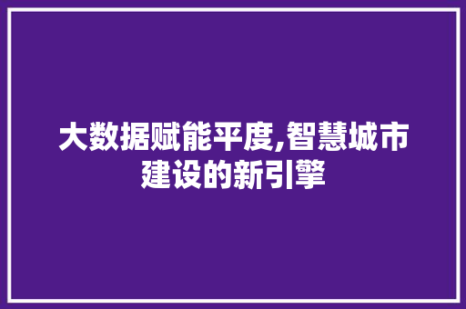 大数据赋能平度,智慧城市建设的新引擎 GoogleSEO