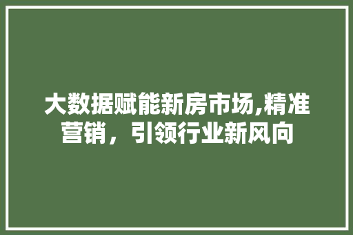 大数据赋能新房市场,精准营销，引领行业新风向 必应SEO