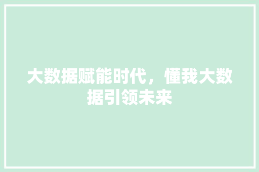 大数据赋能时代，懂我大数据引领未来 必应SEO