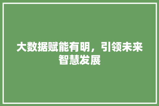 大数据赋能有明，引领未来智慧发展 必应SEO