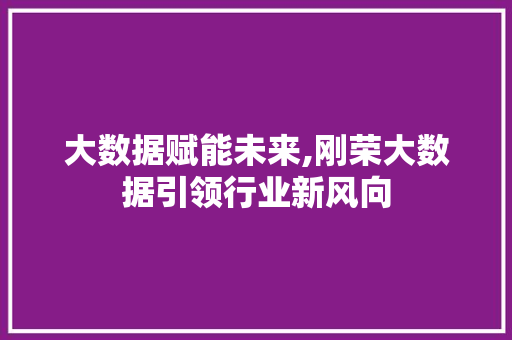 大数据赋能未来,刚荣大数据引领行业新风向 神马SEO