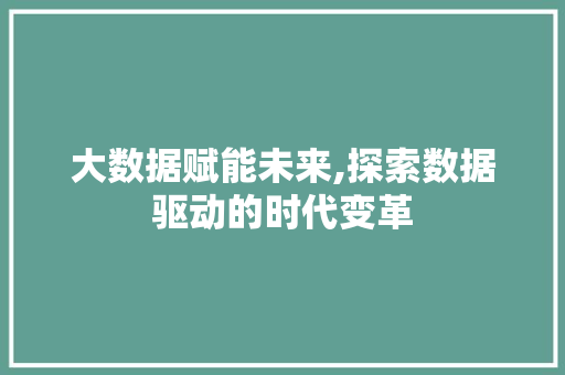 大数据赋能未来,探索数据驱动的时代变革 必应SEO