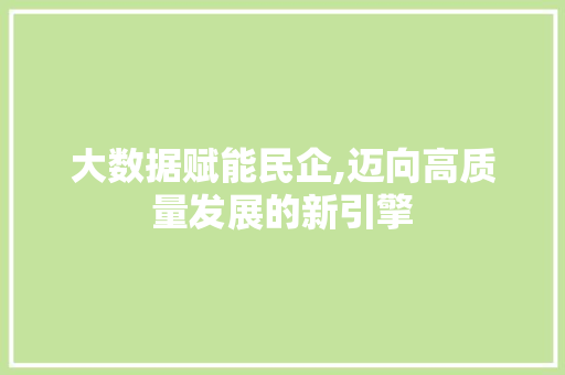 大数据赋能民企,迈向高质量发展的新引擎 神马SEO