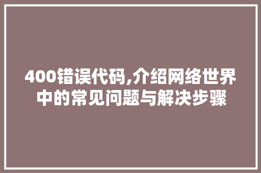 400错误代码,介绍网络世界中的常见问题与解决步骤 百度SEO