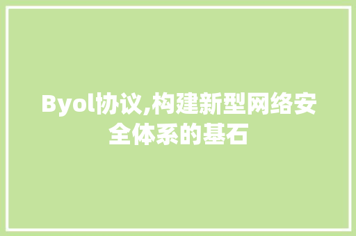 Byol协议,构建新型网络安全体系的基石 神马SEO