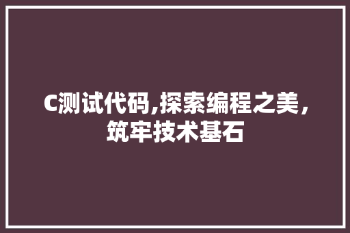 C测试代码,探索编程之美，筑牢技术基石 GoogleSEO