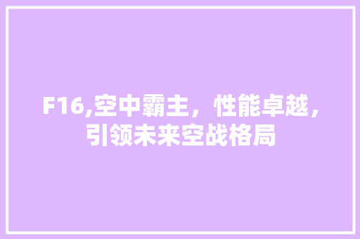 F16,空中霸主，性能卓越，引领未来空战格局