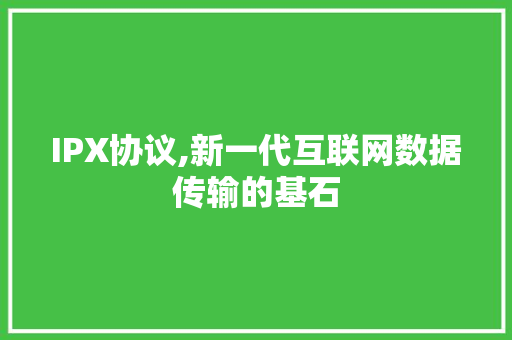 IPX协议,新一代互联网数据传输的基石