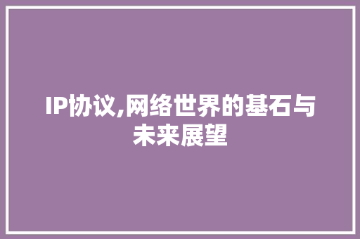 IP协议,网络世界的基石与未来展望 神马SEO