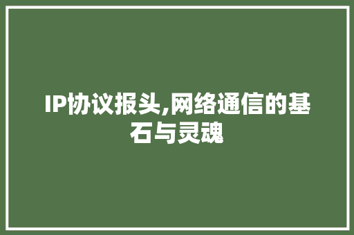 IP协议报头,网络通信的基石与灵魂