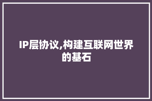 IP层协议,构建互联网世界的基石 GoogleSEO