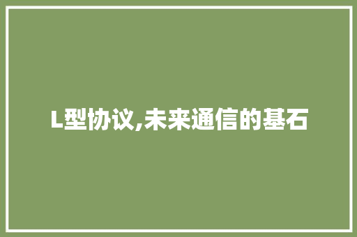 L型协议,未来通信的基石 百度SEO