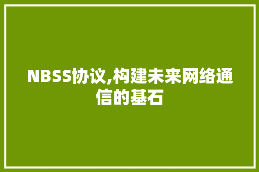 NBSS协议,构建未来网络通信的基石 必应SEO