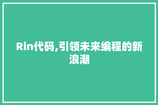 Rin代码,引领未来编程的新浪潮 GoogleSEO