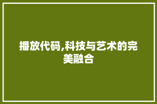 播放代码,科技与艺术的完美融合 GoogleSEO