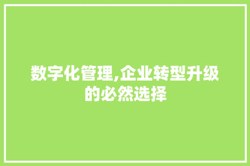 数字化管理,企业转型升级的必然选择