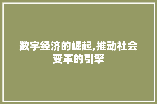 数字经济的崛起,推动社会变革的引擎