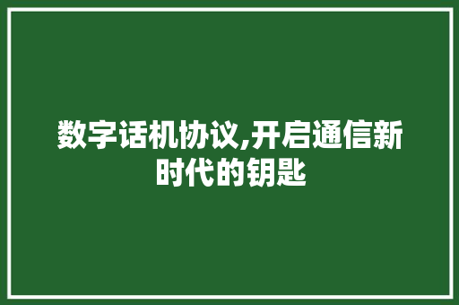 数字话机协议,开启通信新时代的钥匙