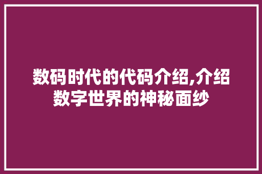 数码时代的代码介绍,介绍数字世界的神秘面纱 必应SEO