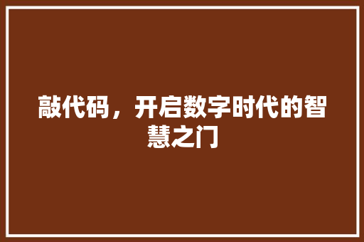 敲代码，开启数字时代的智慧之门 神马SEO
