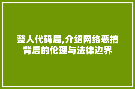 整人代码局,介绍网络恶搞背后的伦理与法律边界 必应SEO