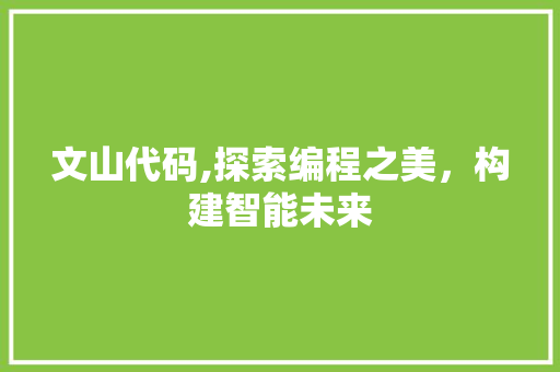 文山代码,探索编程之美，构建智能未来