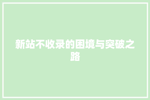 新站不收录的困境与突破之路 GoogleSEO