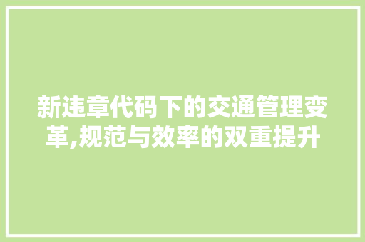 新违章代码下的交通管理变革,规范与效率的双重提升