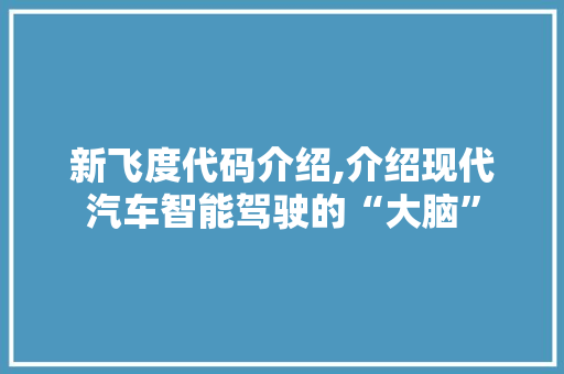 新飞度代码介绍,介绍现代汽车智能驾驶的“大脑” 必应SEO