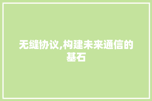 无缝协议,构建未来通信的基石 必应SEO
