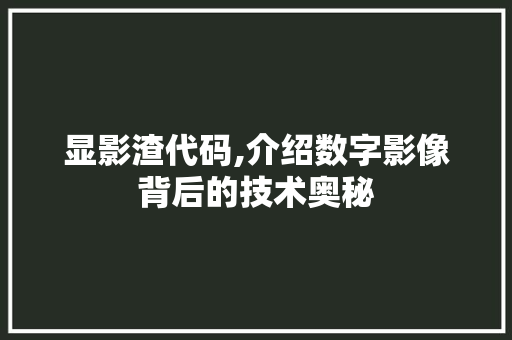 显影渣代码,介绍数字影像背后的技术奥秘