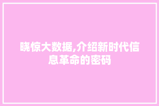 晓惊大数据,介绍新时代信息革命的密码 百度SEO