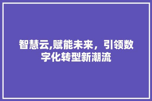 智慧云,赋能未来，引领数字化转型新潮流