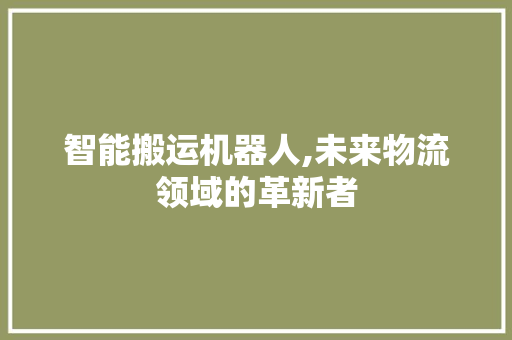 智能搬运机器人,未来物流领域的革新者 神马SEO