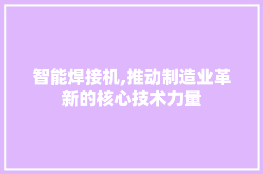 智能焊接机,推动制造业革新的核心技术力量