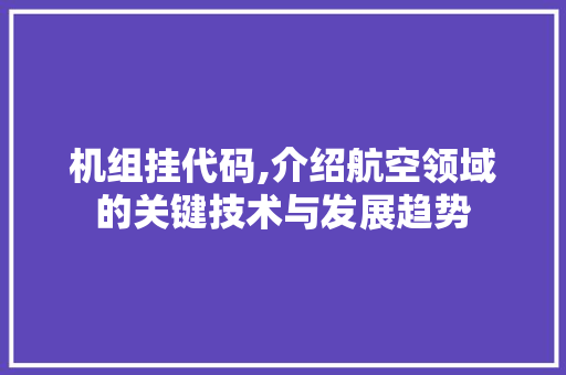 机组挂代码,介绍航空领域的关键技术与发展趋势