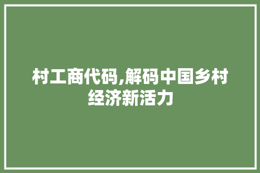 村工商代码,解码中国乡村经济新活力