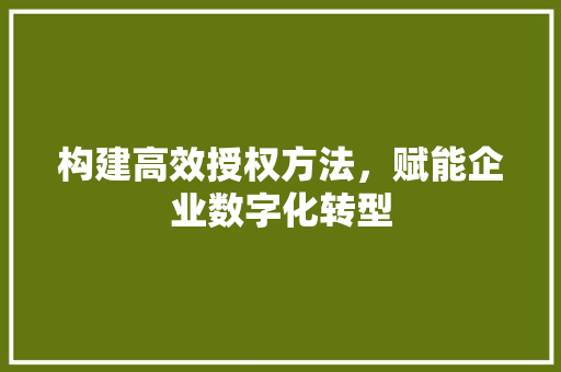 构建高效授权方法，赋能企业数字化转型 神马SEO
