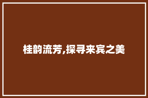 桂韵流芳,探寻来宾之美 GoogleSEO