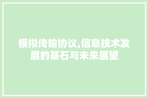 模拟传输协议,信息技术发展的基石与未来展望 神马SEO
