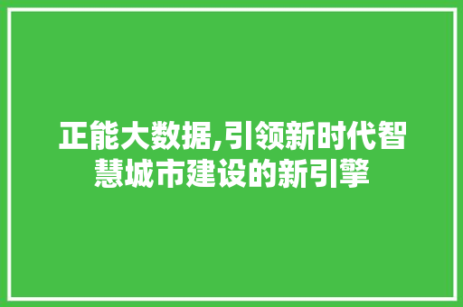 正能大数据,引领新时代智慧城市建设的新引擎 GoogleSEO