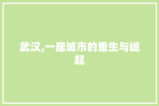 武汉,一座城市的重生与崛起 搜狗SEO