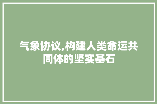 气象协议,构建人类命运共同体的坚实基石 搜狗SEO